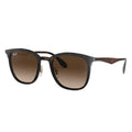 Ray-Ban™ 8053672730531 Havana On Matte Havana