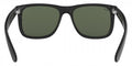 Ray-Ban™ Justin 8053672476194 Black