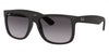 Ray-Ban™ Justin 805289526575 Rubber Black