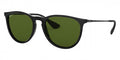 Ray-Ban™ Erika 8053672495942 Black