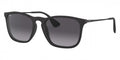 Ray Ban Chris 8053672213454 Black