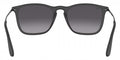 Ray Ban Chris 8053672213454 Black